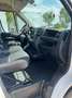 Fiat DUCATO 33 2.3 MJET MH2 - KM 124.000 Bianco - thumbnail 8