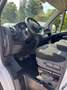 Fiat DUCATO 33 2.3 MJET MH2 - KM 124.000 Bianco - thumbnail 9
