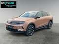 Opel Grandland Grandland GS MHEV 145 pk eDCT6 Pano Dak - Head Up Bronze - thumbnail 1