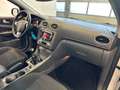 Ford Focus Focus Style Wagon 1.6 tdci Titanium 90cv White - thumbnail 13