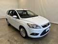Ford Focus Focus Style Wagon 1.6 tdci Titanium 90cv White - thumbnail 3