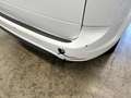 Ford Focus Focus Style Wagon 1.6 tdci Titanium 90cv White - thumbnail 6
