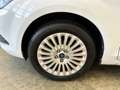 Ford Focus Focus Style Wagon 1.6 tdci Titanium 90cv White - thumbnail 8