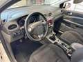 Ford Focus Focus Style Wagon 1.6 tdci Titanium 90cv White - thumbnail 12