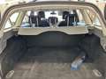 Ford Focus Focus Style Wagon 1.6 tdci Titanium 90cv White - thumbnail 11