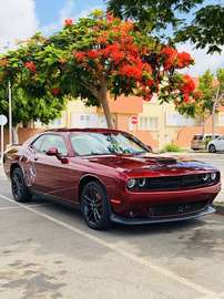 Gt Sxt
