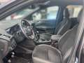 Ford Kuga ST-Line 1.5 EcoBoost 150PS+NAVI+AHK+KAMERA Gris - thumbnail 7