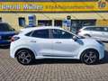 Ford Puma 1.0 EB Hybrid ST-LINE Navi Kamera Alu 17" -NEU! Blanc - thumbnail 1