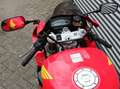 Honda VTR 1000 Rood - thumbnail 5