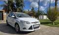 Ford Focus 1.6TDCi Trend 115 Blanco - thumbnail 3