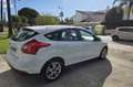 Ford Focus 1.6TDCi Trend 115 Blanco - thumbnail 5