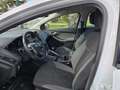 Ford Focus 1.6TDCi Trend 115 Blanco - thumbnail 6