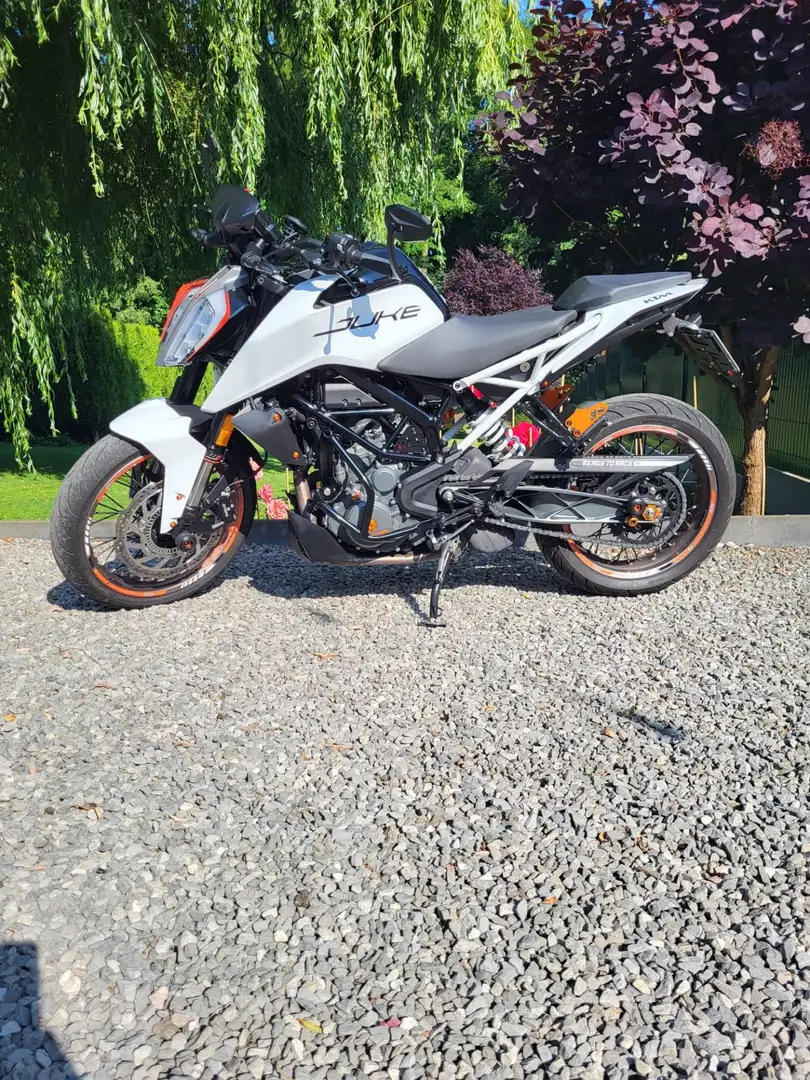 KTM 390 Duke Blanc - 1