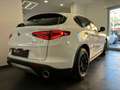 Alfa Romeo Stelvio 2.2 Turbodiesel 190 CV AT8 Q4 Business Bianco - thumbnail 6