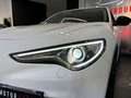 Alfa Romeo Stelvio 2.2 Turbodiesel 190 CV AT8 Q4 Business Bianco - thumbnail 8