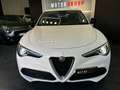 Alfa Romeo Stelvio 2.2 Turbodiesel 190 CV AT8 Q4 Business Bianco - thumbnail 3