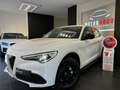 Alfa Romeo Stelvio 2.2 Turbodiesel 190 CV AT8 Q4 Business Bianco - thumbnail 2