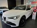 Alfa Romeo Stelvio 2.2 Turbodiesel 190 CV AT8 Q4 Business Bianco - thumbnail 1