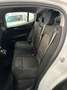 Alfa Romeo Stelvio 2.2 Turbodiesel 190 CV AT8 Q4 Business Bianco - thumbnail 11