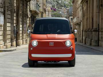 Corallo❗️ Lieferung innerhalb 12 Wochen❗️