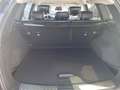 Renault Koleos KOLEOS Initiale Paris TCe 160 2WD EDC Rot - thumbnail 10