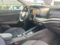 Skoda Octavia 1,4 Ambition iV Grau - thumbnail 14