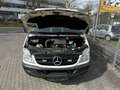 Mercedes-Benz Sprinter II Lang 311 CDI 8-12SITZE Klima AHK Tüv Weiß - thumbnail 10
