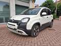Fiat Panda Pandina III Pandina 1.0 firefly hybrid s Bianco - thumbnail 1