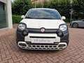 Fiat Panda Pandina III Pandina 1.0 firefly hybrid s Bianco - thumbnail 2