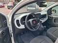 Fiat Panda Pandina III Pandina 1.0 firefly hybrid s Bianco - thumbnail 8
