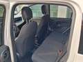 Fiat Panda Pandina III Pandina 1.0 firefly hybrid s Bianco - thumbnail 13