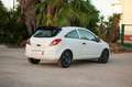Opel Corsa ES - Ber3 1.4, CMon, 2008 - 2010 Blanc - thumbnail 7