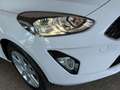 Ford Fiesta 1.5 ECOBLUE 85 cv. 5 porte CONNECT Blanco - thumbnail 5
