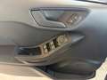 Ford Fiesta 1.5 ECOBLUE 85 cv. 5 porte CONNECT Blanco - thumbnail 8