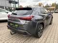 Lexus UX 250h Style Edition LED, Kamera, AppleCarPlay Grau - thumbnail 3