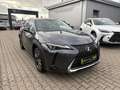 Lexus UX 250h Style Edition LED, Kamera, AppleCarPlay Grau - thumbnail 2