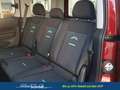 Ford Tourneo Connect Active L 1  2,0 Ltr. - 90 kW EcoBlue KAT 90 kW ... Rot - thumbnail 10