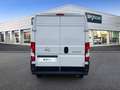 Opel Movano Movano 2.2 BlueHDi 140 L4H2 VA Weiß - thumbnail 5