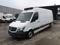 Mercedes-Benz Sprinter 316 (564) Blanc - thumbnail 1