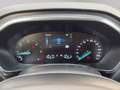 Ford Focus ACTIVE 1.5 EcoBlue 120 CV Business Grau - thumbnail 13