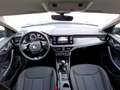 Skoda Kamiq 1.0 TSI Ambition LED Klima DAB PDC Grau - thumbnail 10