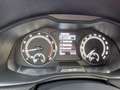 Skoda Kamiq 1.0 TSI Ambition LED Klima DAB PDC Grau - thumbnail 12