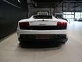 Lamborghini Gallardo LP 560-4 Blanco - thumbnail 5