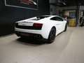 Lamborghini Gallardo LP 560-4 Blanco - thumbnail 3