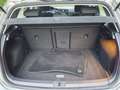 Volkswagen Golf Golf 1.6 TDI 115 CV DSG 5p. Executive BlueMotion - thumbnail 14