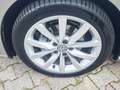 Volkswagen Golf Golf 1.6 TDI 115 CV DSG 5p. Executive BlueMotion - thumbnail 7