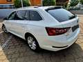 Skoda Superb Ambition 1 HAND  NETTO PREIS 11900 EURO Weiß - thumbnail 10