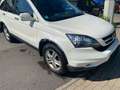 Honda CR-V Comfort 4x4 Automatik,Klima,Navi,AHK,2.Hand Weiß - thumbnail 3