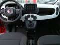 Fiat Panda Pandina Cross MY25 Rot - thumbnail 4