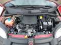 Fiat Panda Pandina Cross MY25 Rot - thumbnail 16